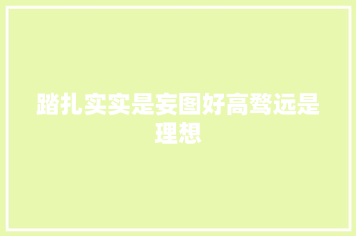 踏扎实实是妄图好高骛远是理想
