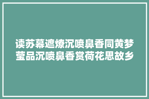 读苏幕遮燎沉喷鼻香同黄梦莹品沉喷鼻香赏荷花思故乡