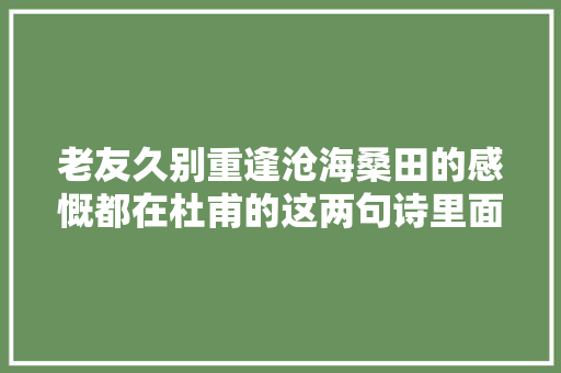 老友久别重逢沧海桑田的感慨都在杜甫的这两句诗里面