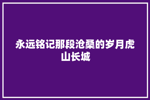 永远铭记那段沧桑的岁月虎山长城