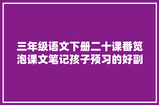 三年级语文下册二十课番笕泡课文笔记孩子预习的好副手
