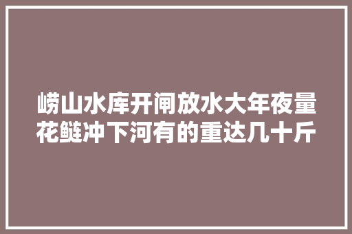 崂山水库开闸放水大年夜量花鲢冲下河有的重达几十斤