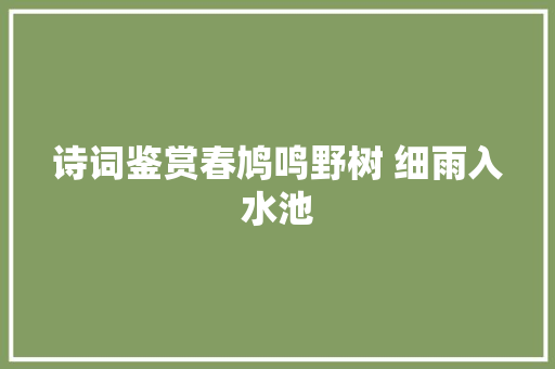 诗词鉴赏春鸠鸣野树 细雨入水池