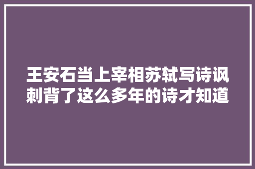 王安石当上宰相苏轼写诗讽刺背了这么多年的诗才知道什么意思