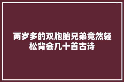 两岁多的双胞胎兄弟竟然轻松背会几十首古诗