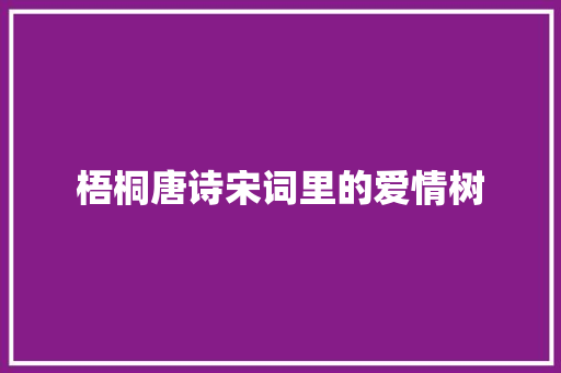 梧桐唐诗宋词里的爱情树