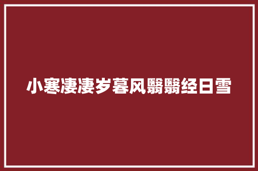 小寒凄凄岁暮风翳翳经日雪