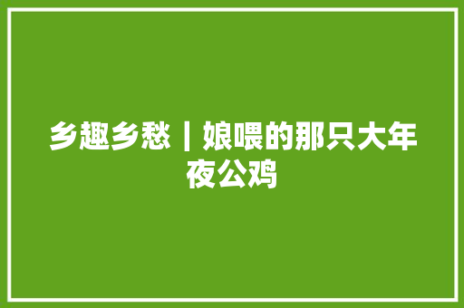 乡趣乡愁｜娘喂的那只大年夜公鸡