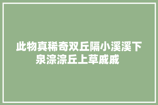 此物真稀奇双丘隔小溪溪下泉淙淙丘上草戚戚 