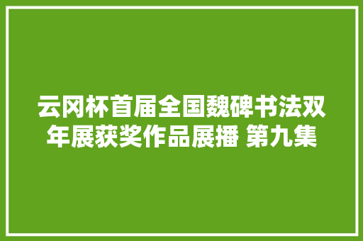 云冈杯首届全国魏碑书法双年展获奖作品展播 第九集