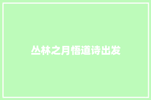 丛林之月悟道诗出发