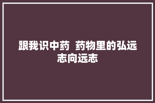 跟我识中药  药物里的弘远志向远志