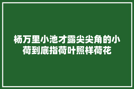 杨万里小池才露尖尖角的小荷到底指荷叶照样荷花