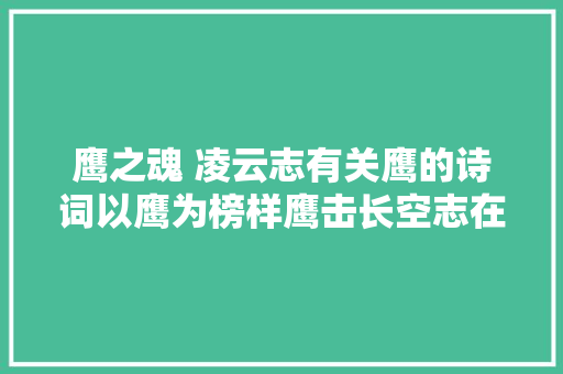 鹰之魂 凌云志有关鹰的诗词以鹰为榜样鹰击长空志在千里
