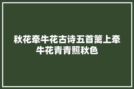 秋花牵牛花古诗五首篱上牵牛花青青照秋色