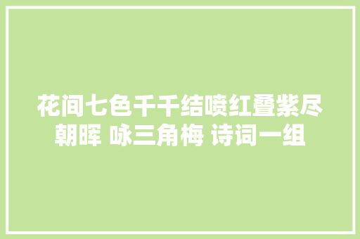 花间七色千千结喷红叠紫尽朝晖 咏三角梅 诗词一组