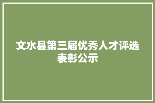 文水县第三届优秀人才评选表彰公示