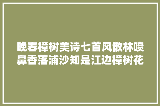 晚春樟树美诗七首风散林喷鼻香落浦沙知是江边樟树花