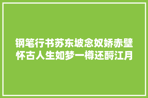 钢笔行书苏东坡念奴娇赤壁怀古人生如梦一樽还酹江月