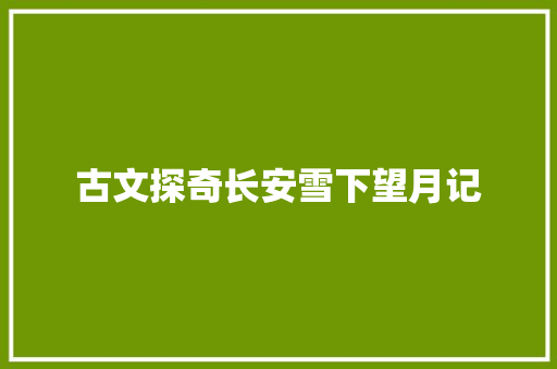 古文探奇长安雪下望月记