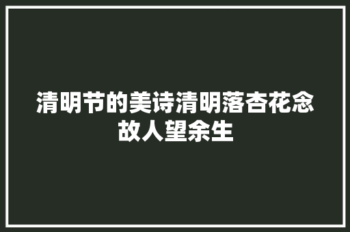 清明节的美诗清明落杏花念故人望余生