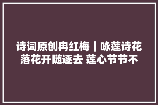 诗词原创冉红梅｜咏莲诗花落花开随逐去 莲心节节不忘君