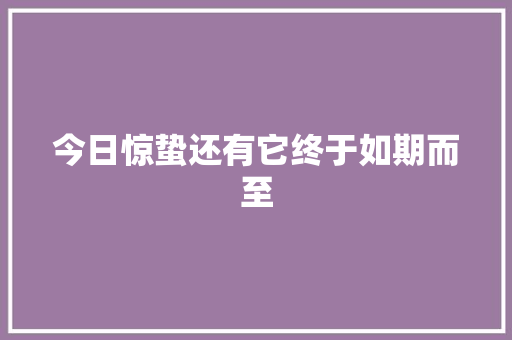 今日惊蛰还有它终于如期而至