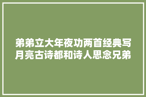 弟弟立大年夜功两首经典写月亮古诗都和诗人思念兄弟有关