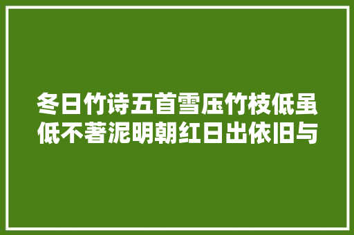 冬日竹诗五首雪压竹枝低虽低不著泥明朝红日出依旧与云齐