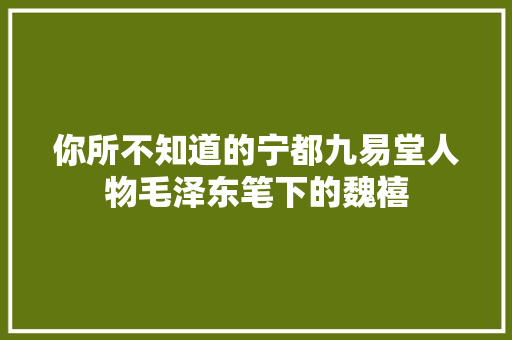 你所不知道的宁都九易堂人物毛泽东笔下的魏禧
