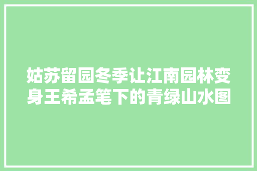姑苏留园冬季让江南园林变身王希孟笔下的青绿山水图卷
