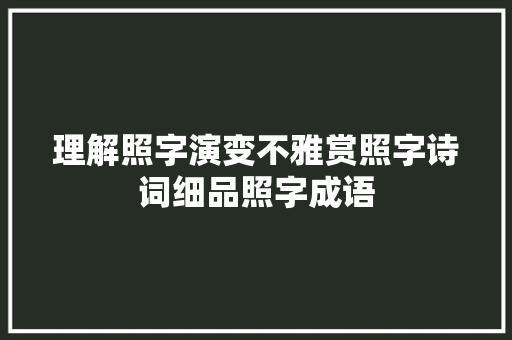 理解照字演变不雅赏照字诗词细品照字成语