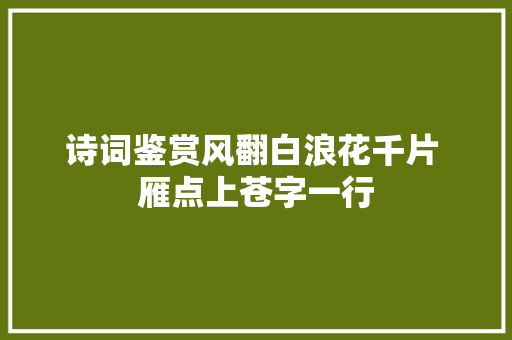 诗词鉴赏风翻白浪花千片 雁点上苍字一行