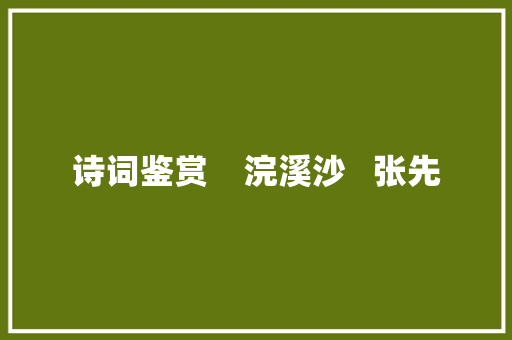 诗词鉴赏    浣溪沙   张先