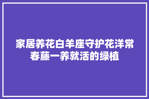 家居养花白羊座守护花洋常春藤一养就活的绿植