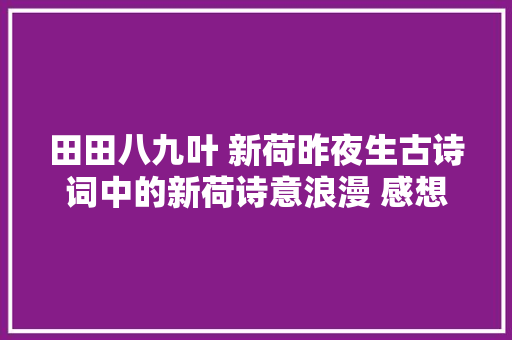 田田八九叶 新荷昨夜生古诗词中的新荷诗意浪漫 感想沾染初夏的美好