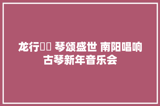 龙行龘龘 琴颂盛世 南阳唱响古琴新年音乐会