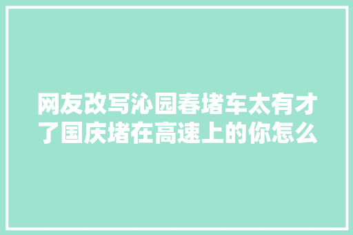 网友改写沁园春堵车太有才了国庆堵在高速上的你怎么看