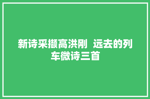 新诗采撷高洪刚  远去的列车微诗三首