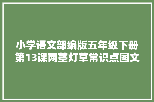 小学语文部编版五年级下册第13课两茎灯草常识点图文解读