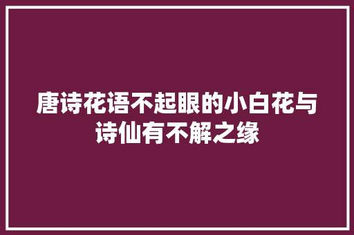 唐诗花语不起眼的小白花与诗仙有不解之缘