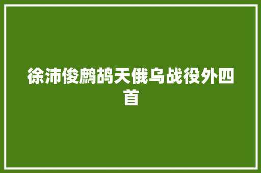 徐沛俊鹧鸪天俄乌战役外四首