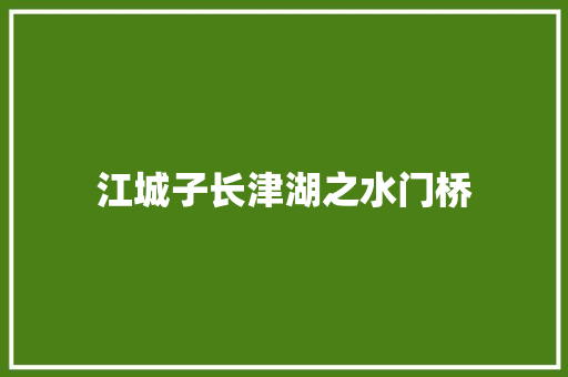江城子长津湖之水门桥