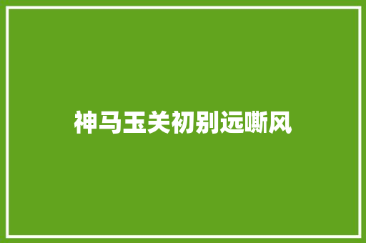 神马玉关初别远嘶风