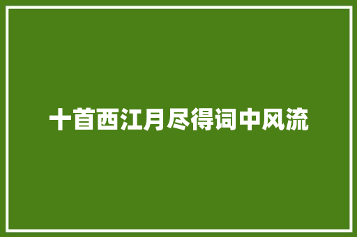 十首西江月尽得词中风流