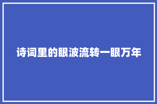 诗词里的眼波流转一眼万年