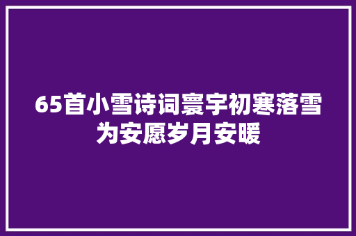 65首小雪诗词寰宇初寒落雪为安愿岁月安暖
