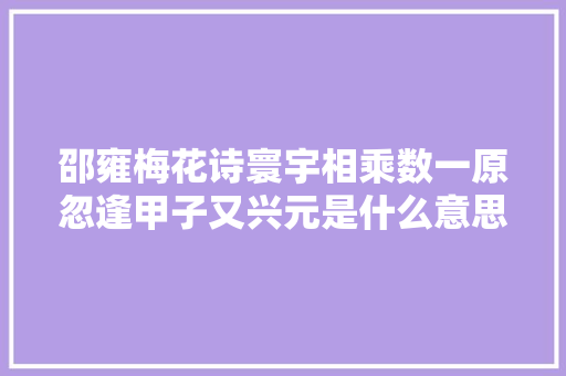 邵雍梅花诗寰宇相乘数一原忽逢甲子又兴元是什么意思