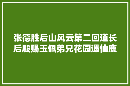 张德胜后山风云第二回道长后殿赐玉佩弟兄花园遇仙鹿