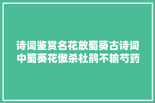 诗词鉴赏名花放蜀葵古诗词中蜀葵花傲杀杜鹃不输芍药